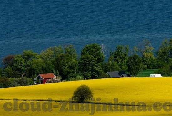 世界杯法国和那踢-法国队世界杯的辉煌与那踢的传奇